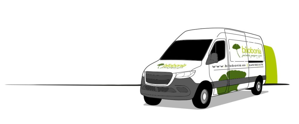 furgon-bilobonia-antiguo