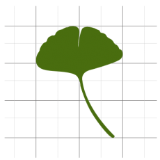 CREACIÓN LOGOTIPO - Bilobonia